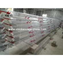 Automatic Quail Cage And Quail Farm Equipment For Sale Philippines